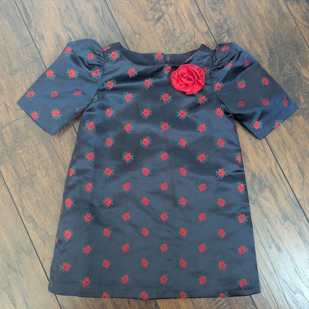 Janie and Jack Navy Dress with Red Floral Accents